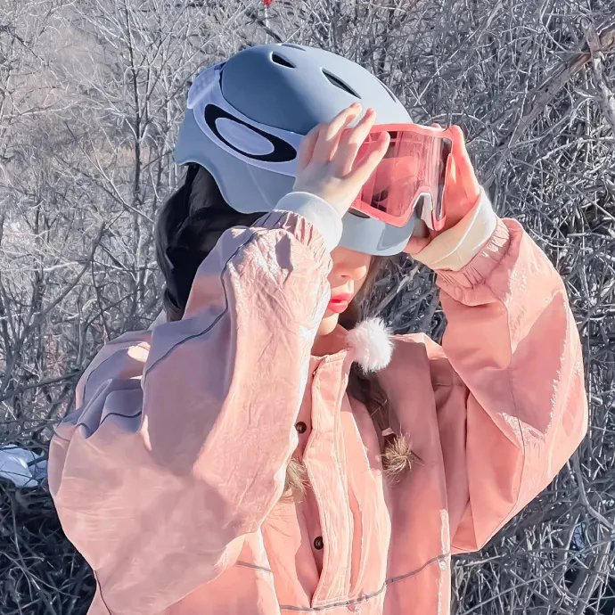 网中的太阳